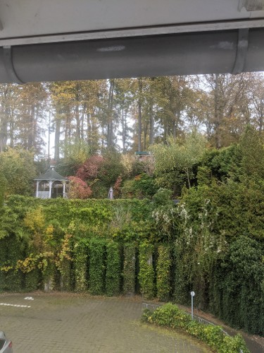 Blick vom Bad in den Wald Blick vom Bad in den Wald