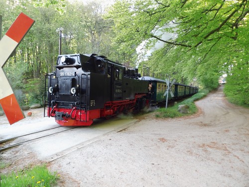 Die historische Dampfeisenbahn "Rasender Roland" verkehrt regelmäßig zwischen Göhren and Putbus